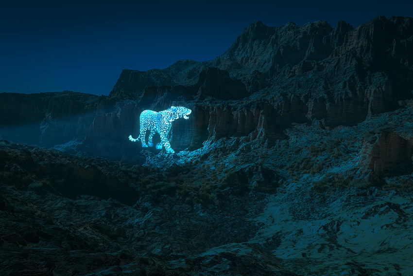 Jaguar CANYON 01.jpg