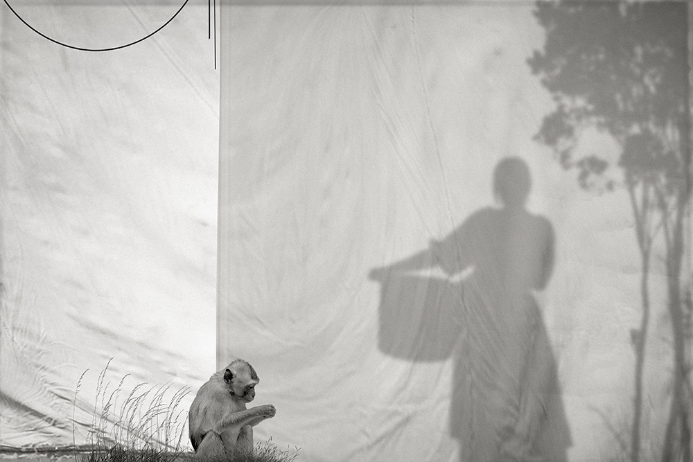 Le Singe et la Muse 04.jpg